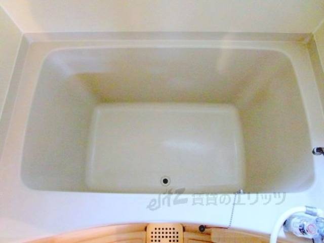 バス
