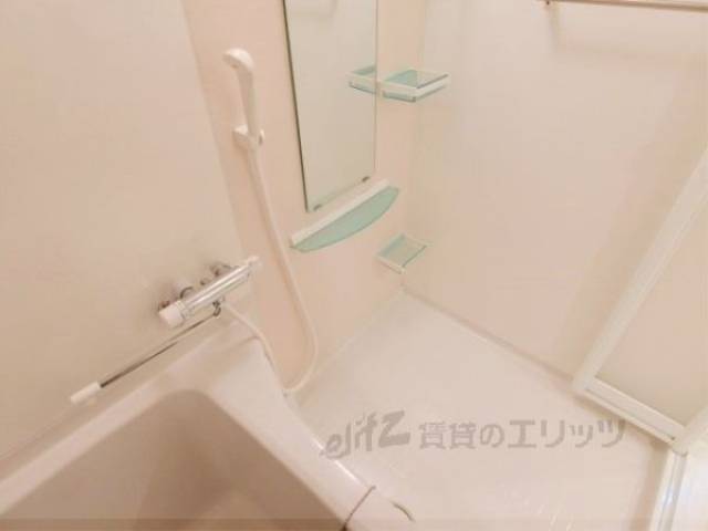 バス