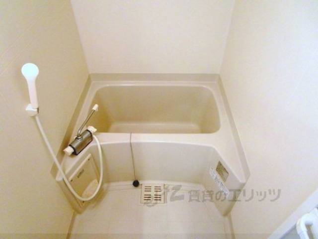 バス