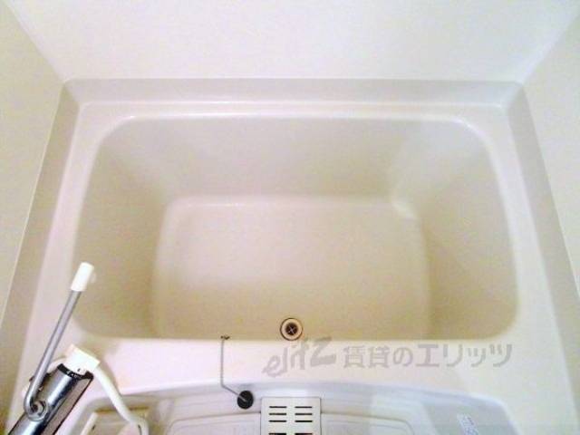 バス