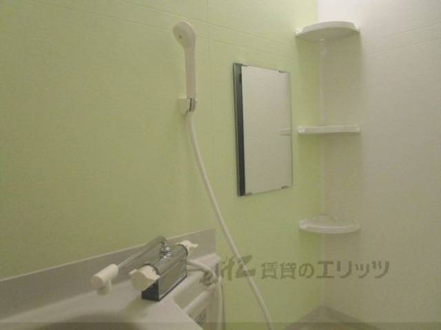 バス