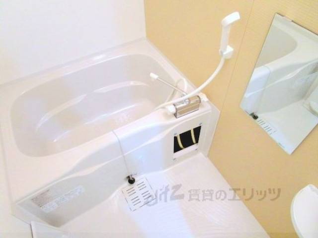 バス
