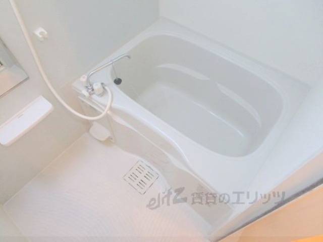 バス