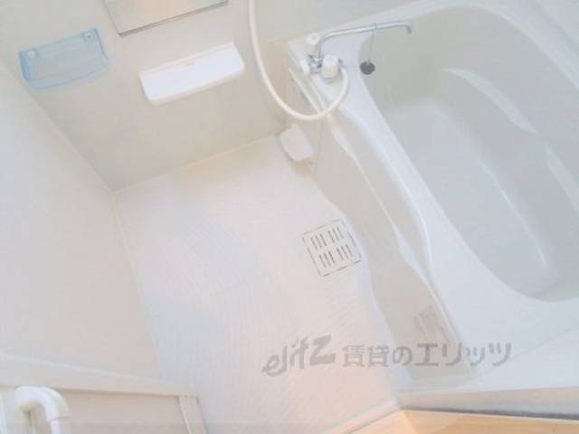 バス