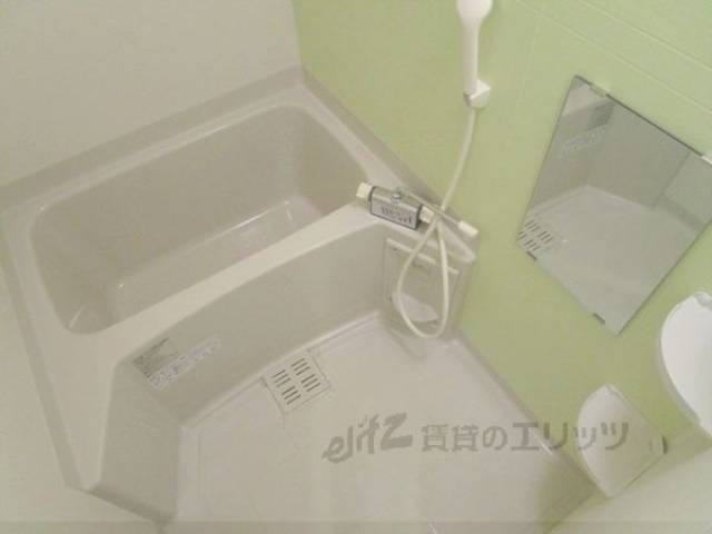 バス
