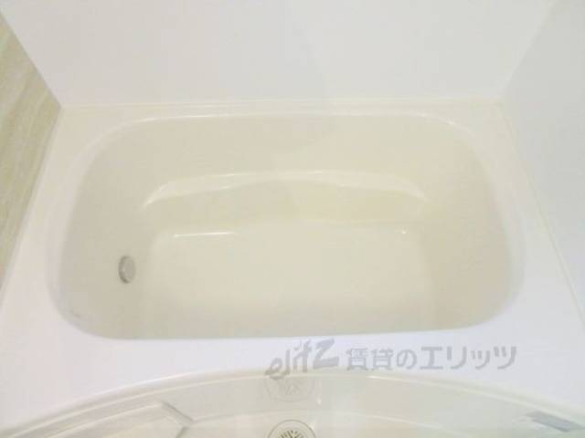 バス