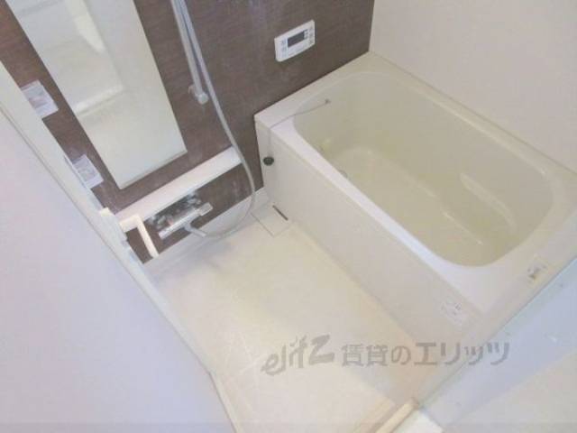 バス