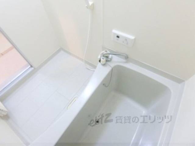 バス