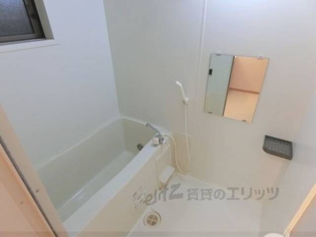 バス