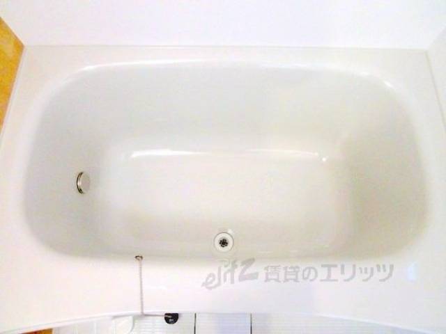 バス