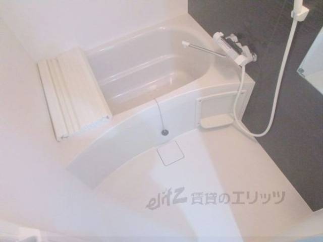 バス