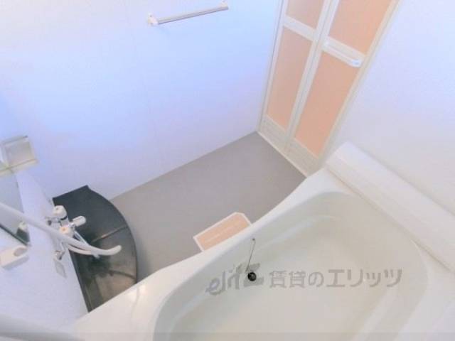 バス