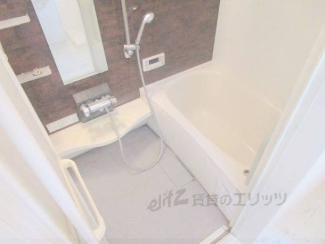 バス