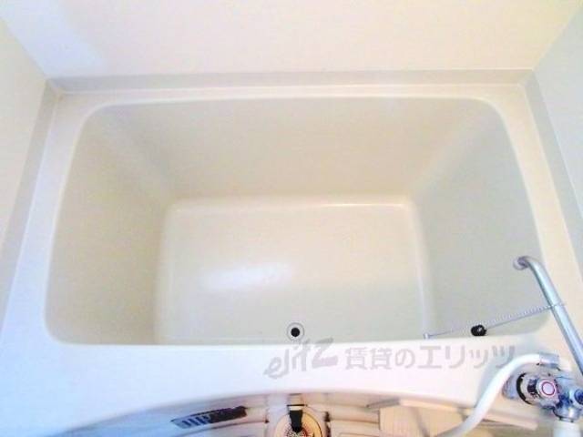 バス