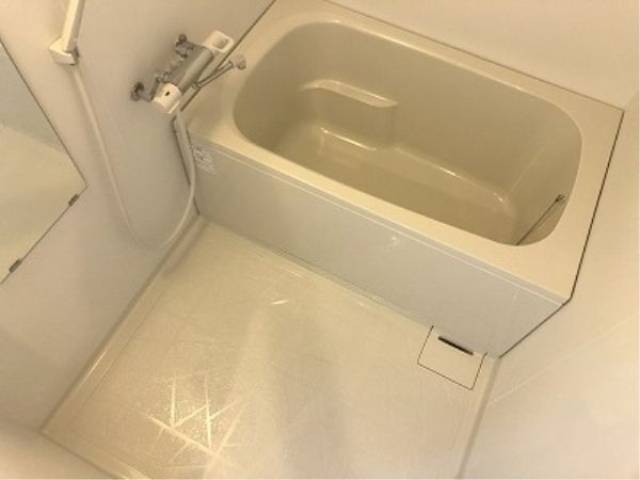 バス