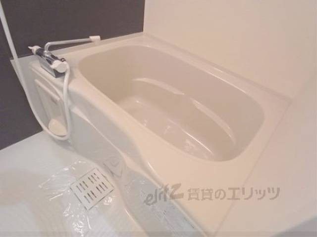 バス