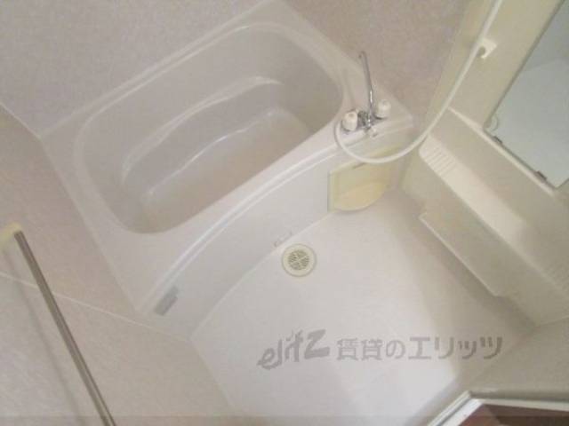 バス