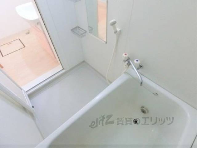 バス