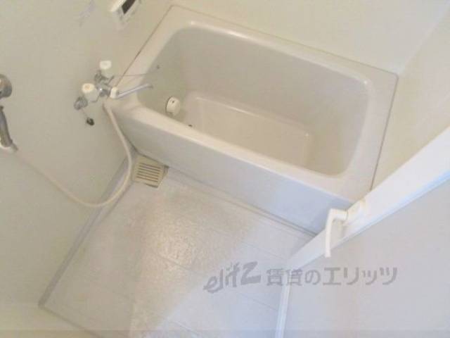 バス