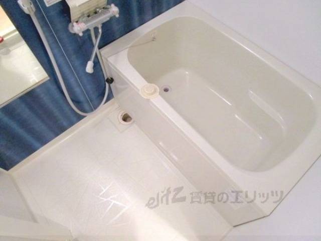 バス