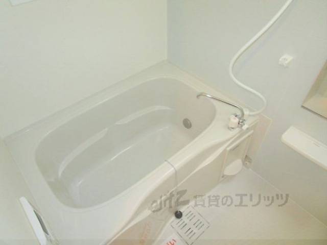 バス