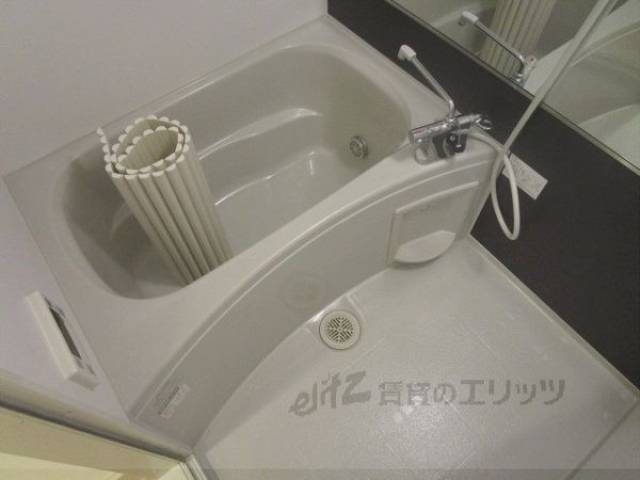 バス