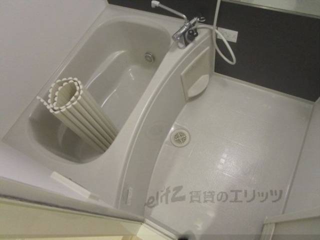 バス