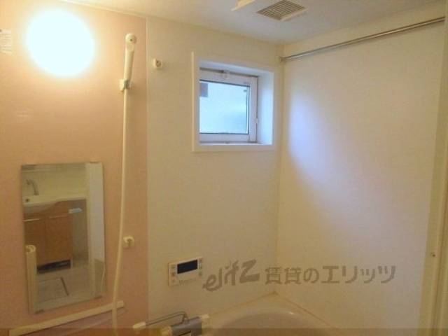バス