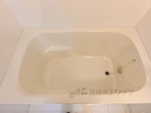 バス