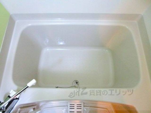 バス