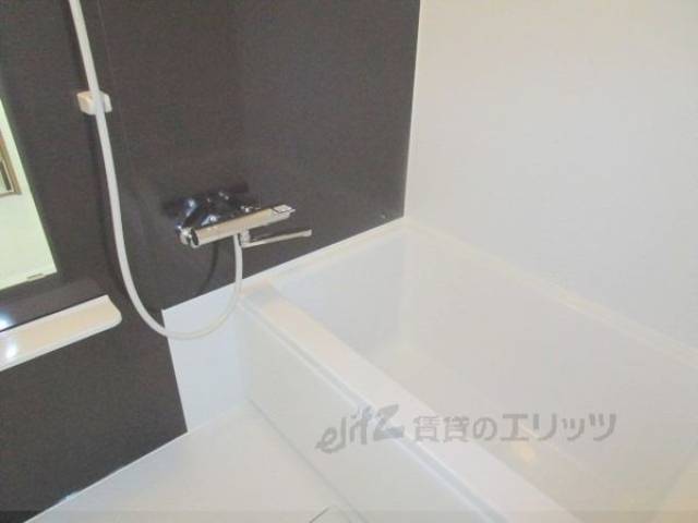 バス