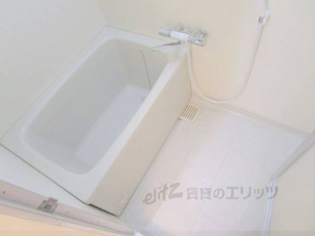 バス