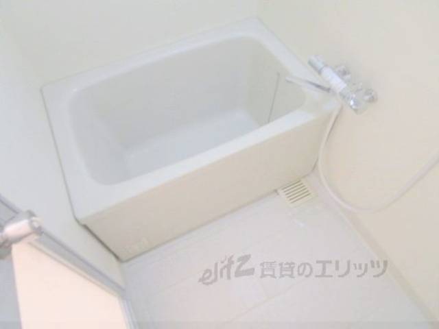 バス