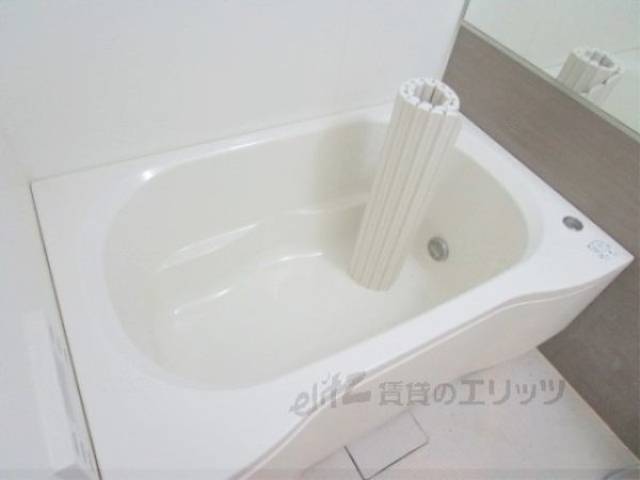 バス