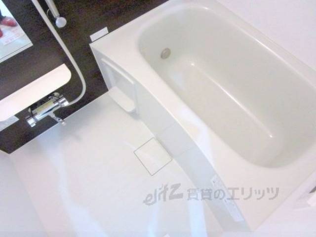 バス