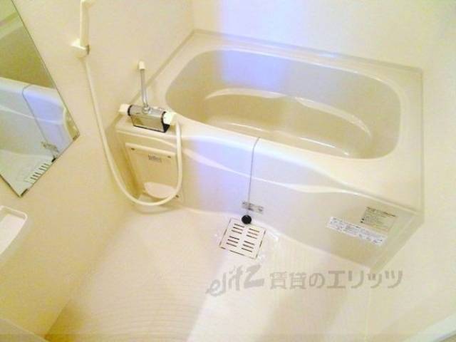 バス