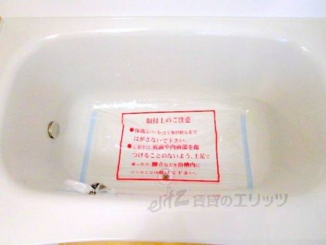 バス