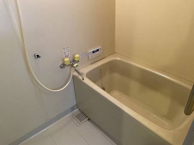 バス