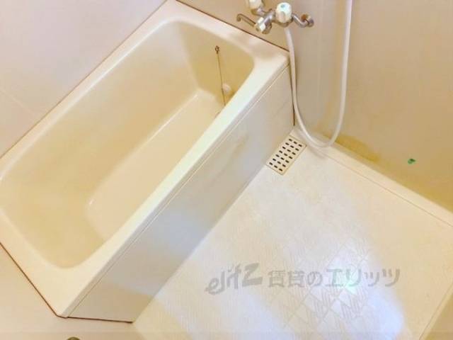 バス