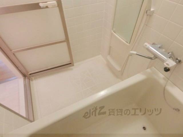 バス