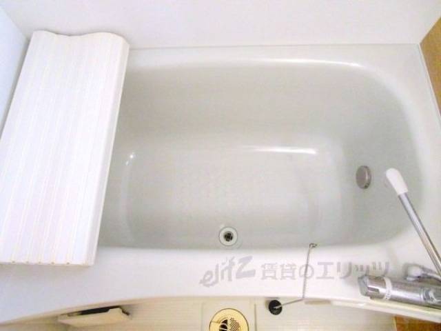 バス