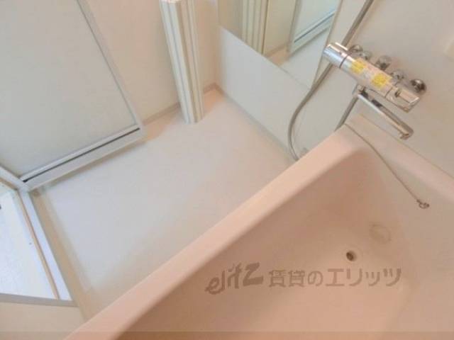バス
