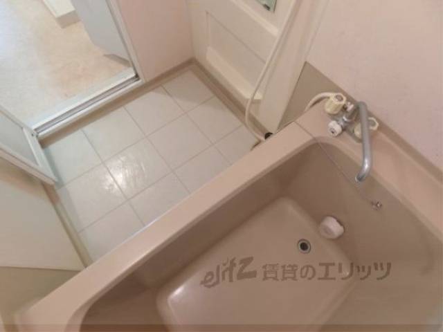 バス