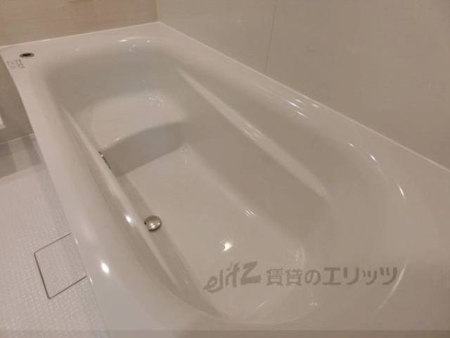 バス