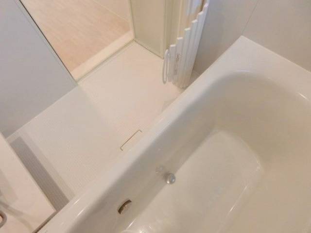 バス