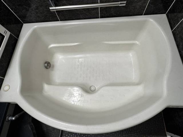 バス