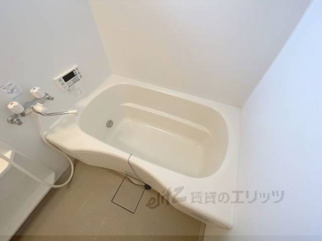 バス