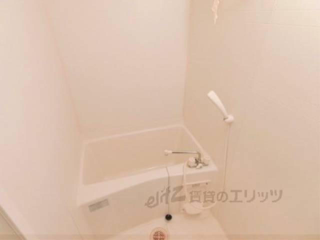 バス