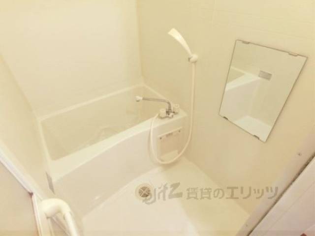 バス