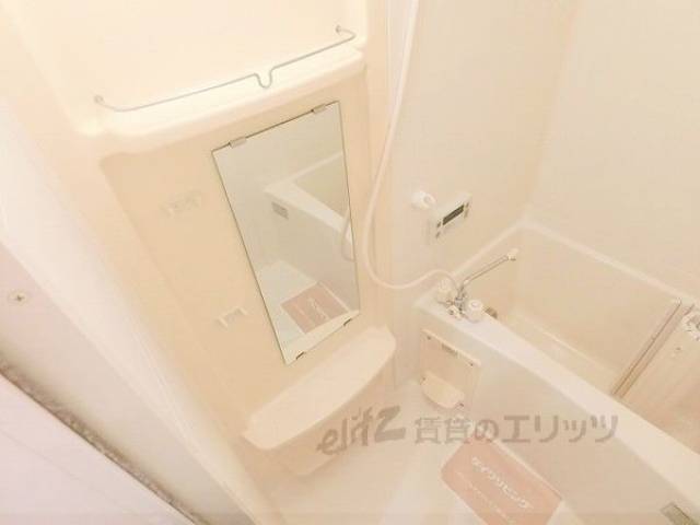 バス